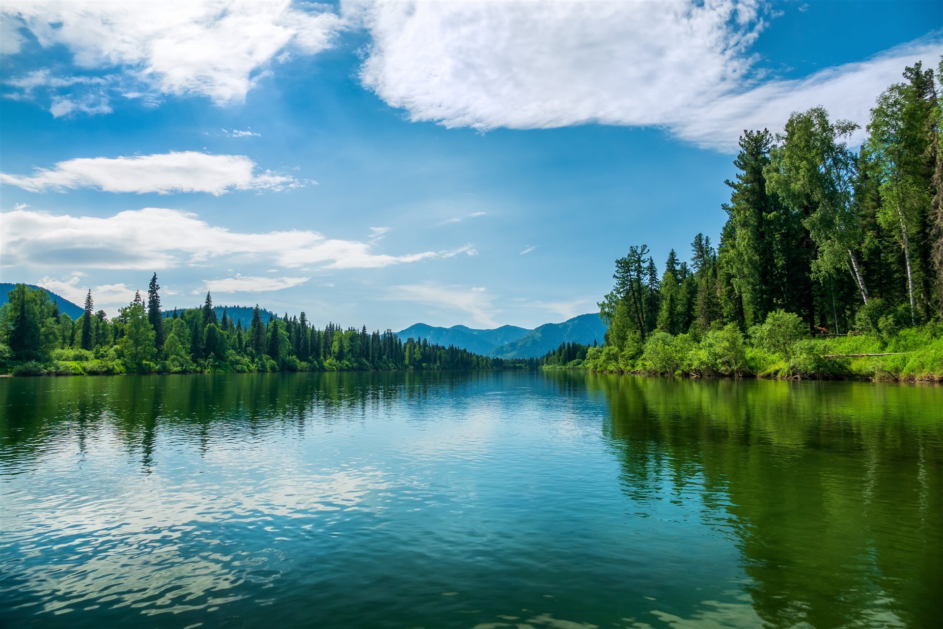 Calm river lined with evergreen trees under a blue sky